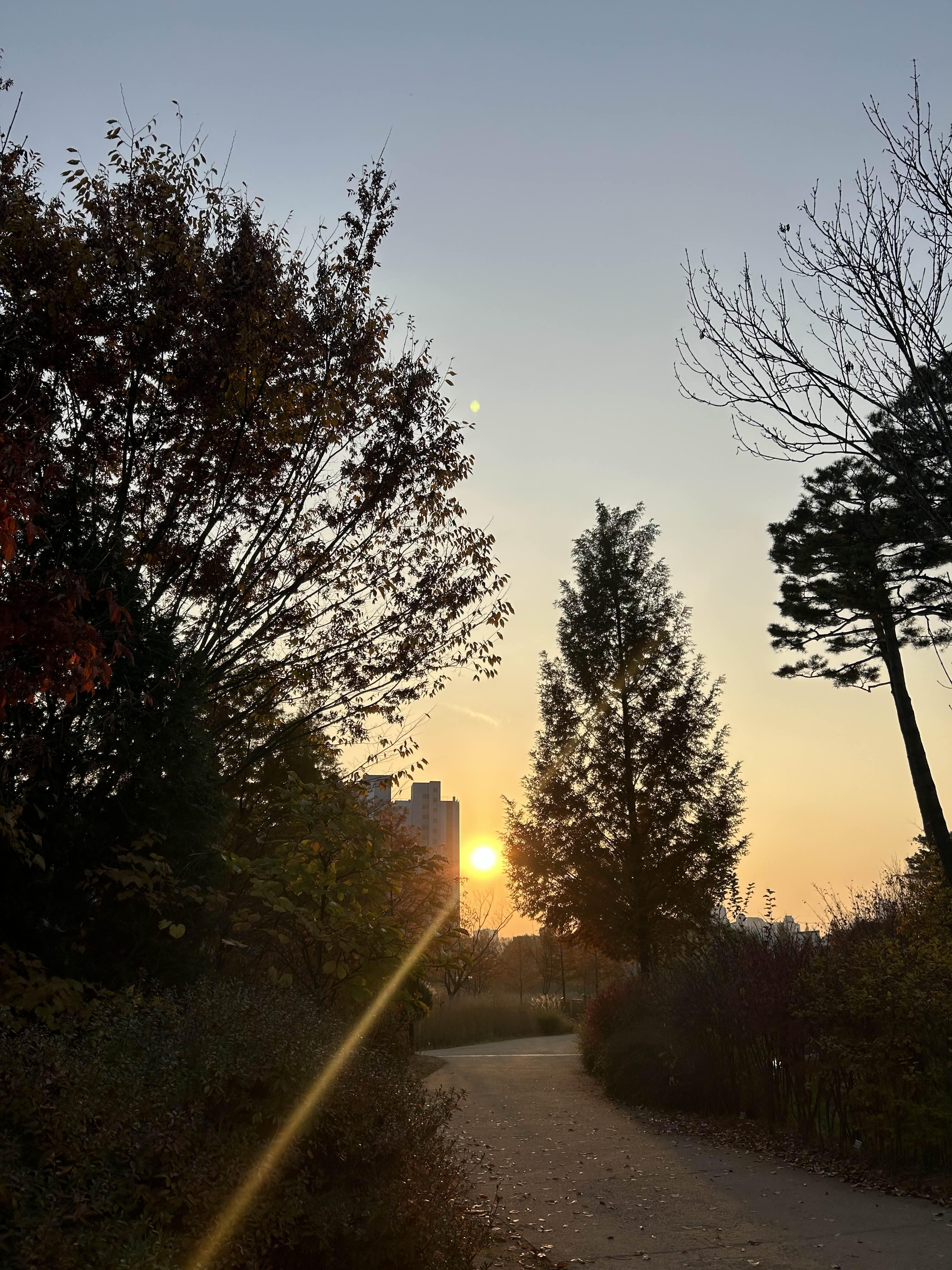 푸른수목원 (단풍절정)