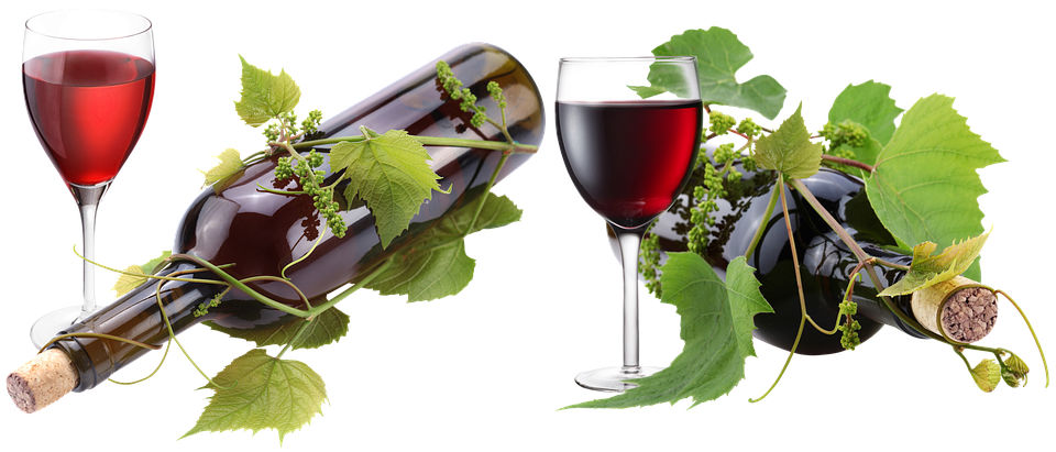 포도와 레드와인