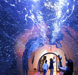 여수 가볼만한곳