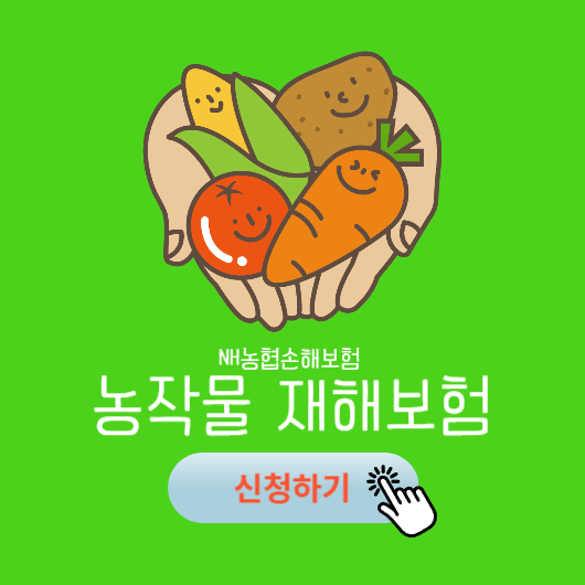 농협 농작물재해보험 가입방법 품목 보상금 알아보기 썸네일 사진