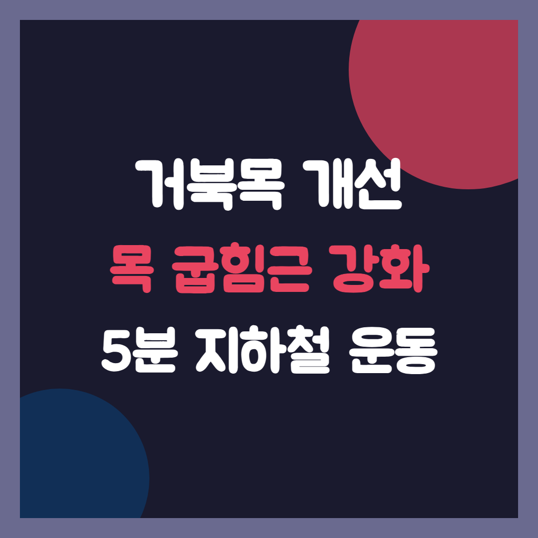 거북목 개선, 깊은 목 굽힘근 5분 강화 지하철 운동