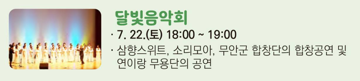 무안연꽃축제