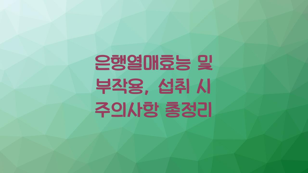 은행열매효능