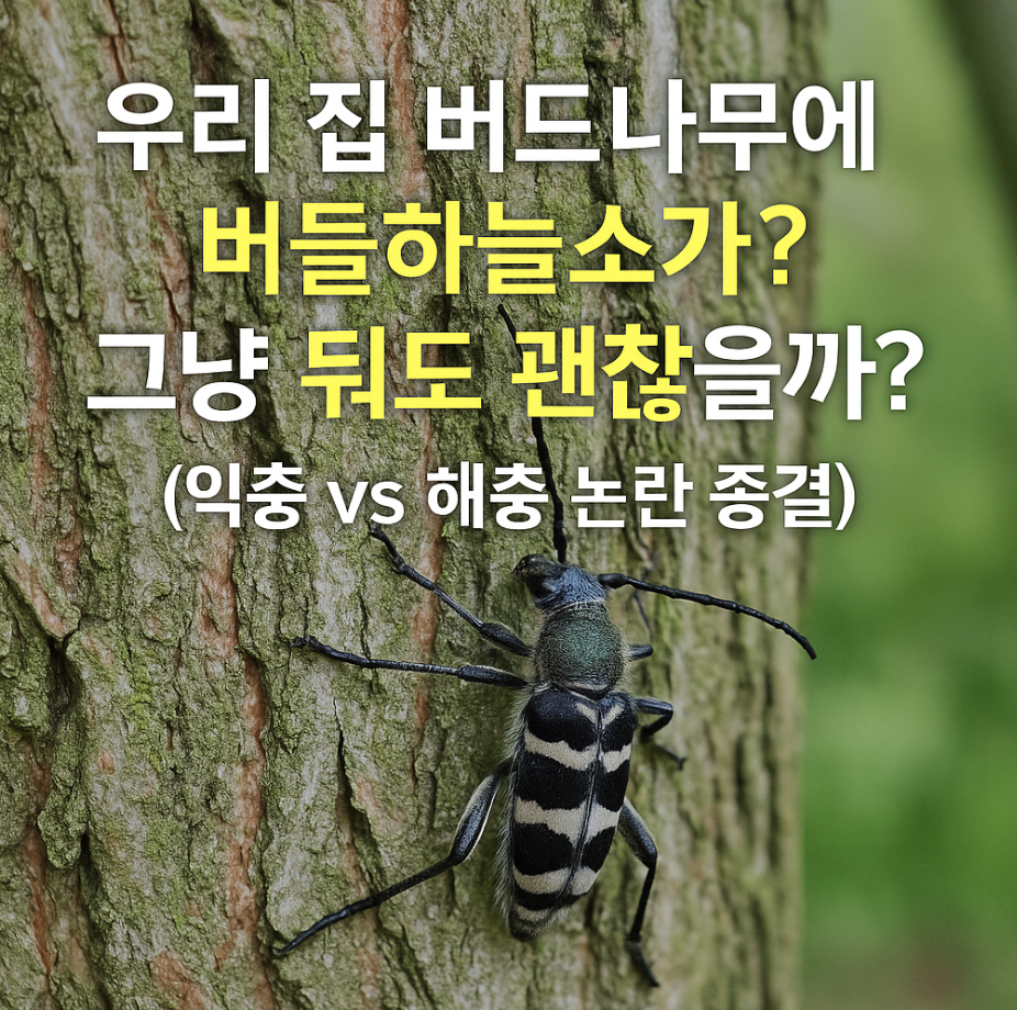 우리 집 버드나무에 버들하늘소가? 그냥 둬도 괜찮을까? (익충 vs 해충 논란 종결)
