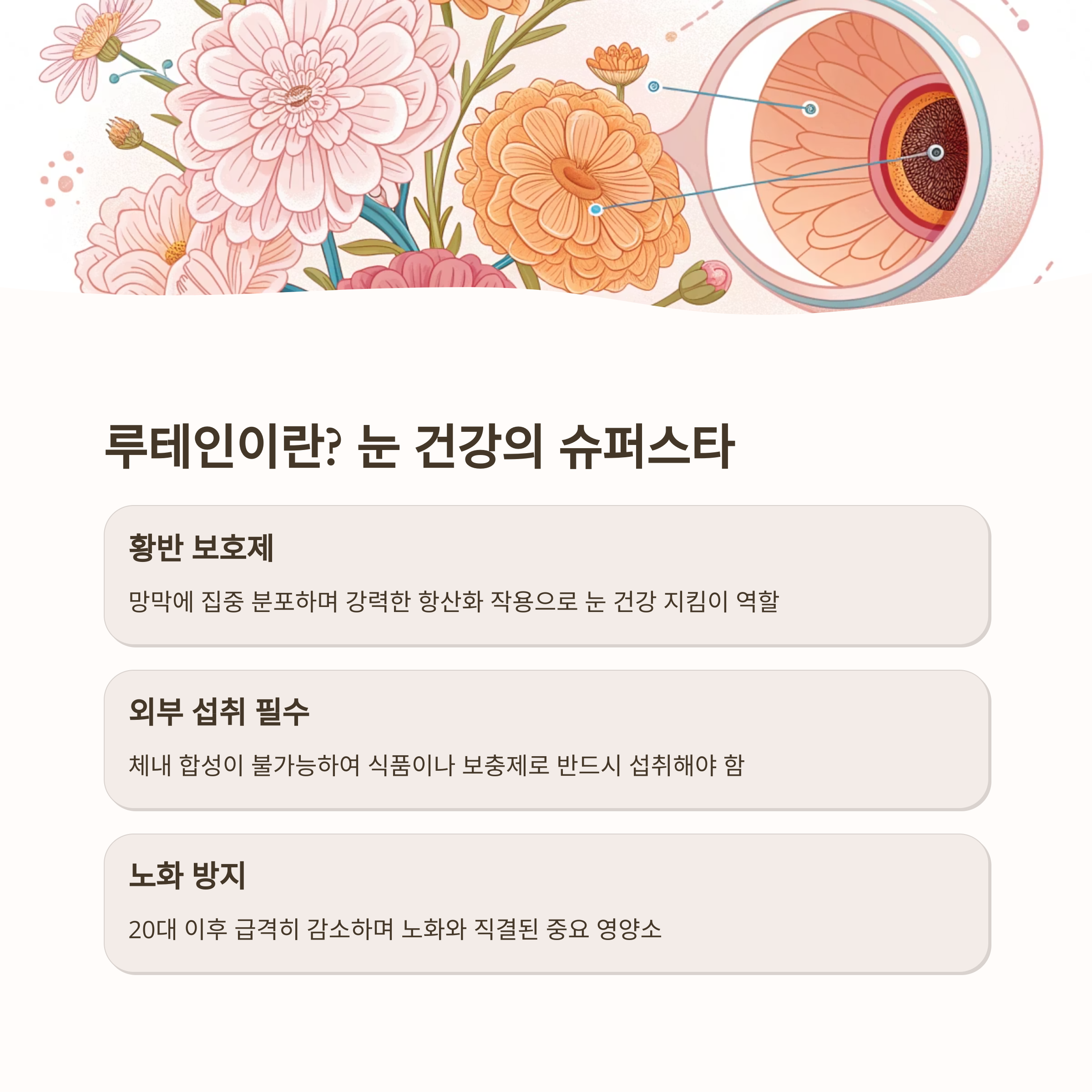 루테인 구매 전 필수 체크포인트2
