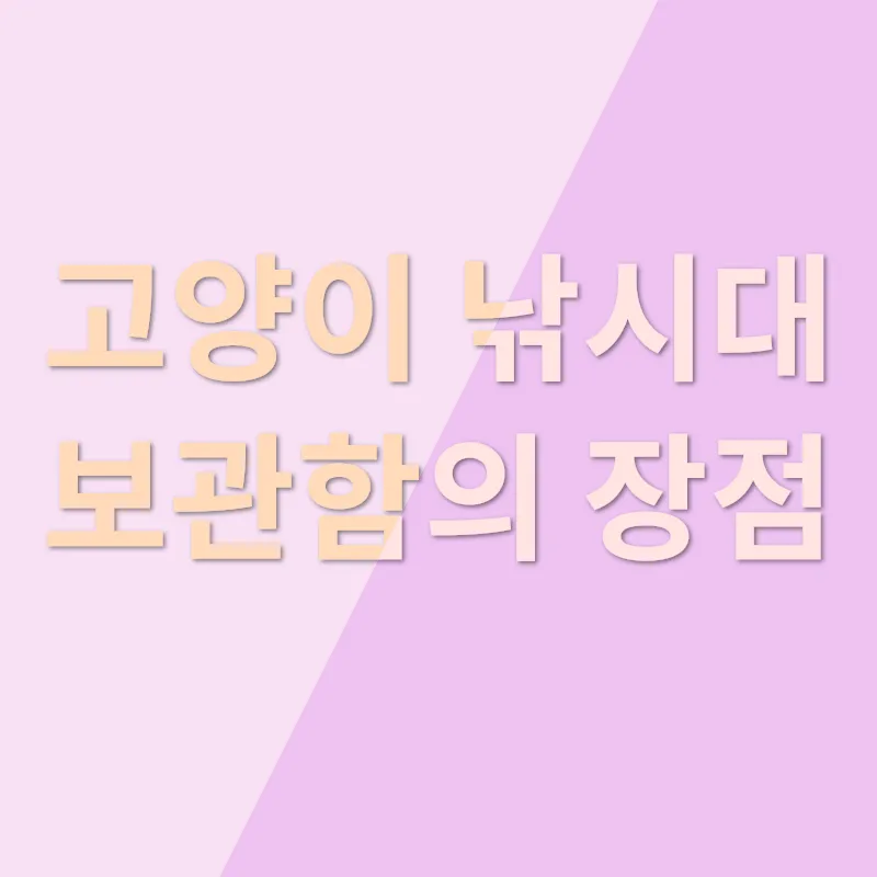 고양이 장난감 정리_3
