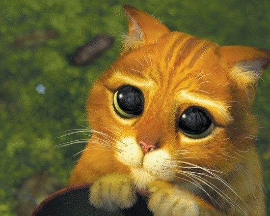 슈렉2 네이버영화