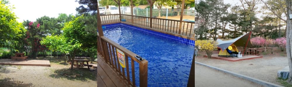 생생정보통 오늘방송(3월 26일) 해솔길캠핑장,유리섬박물관,두서어촌갯벌체험마을,LH한국토지주택공사유스타트