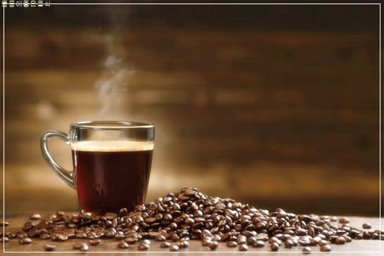 통풍에 좋은 음식