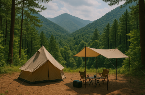 산속 캠핑 관련 사진