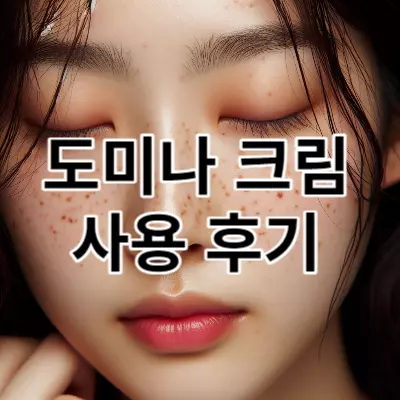 도미나 크림 사용 후기