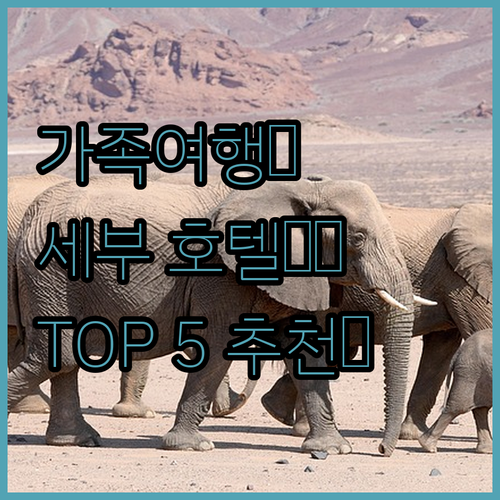 가족 여행객 필독! 세부 인기 호텔 ..