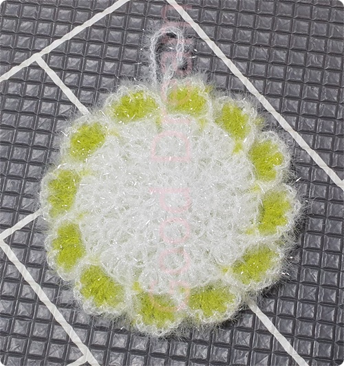 해바라기 평면수세미