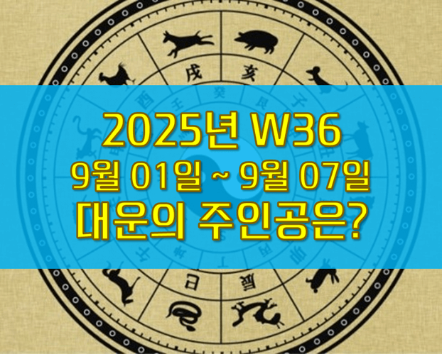 W36 주간운세