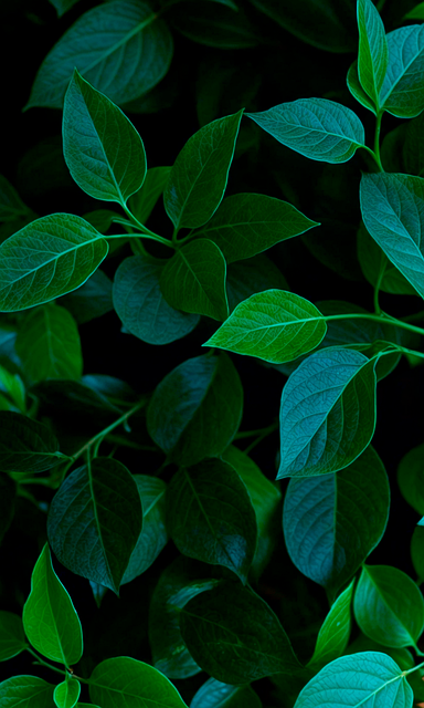 수목장 부지 구매