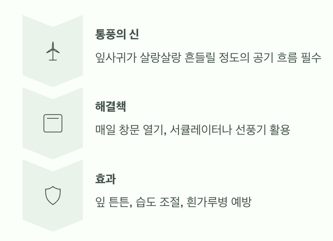 햇빛만큼 중요한 두 번째, 바람
