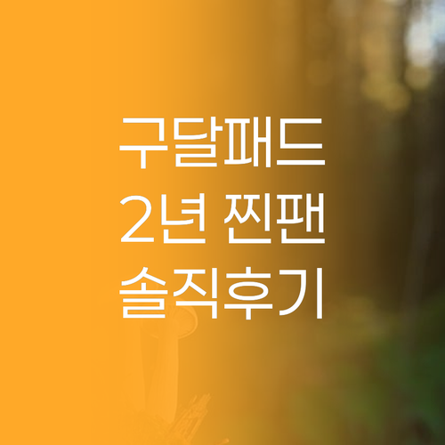 구달 청귤 패드 리얼 사용 후기 2년