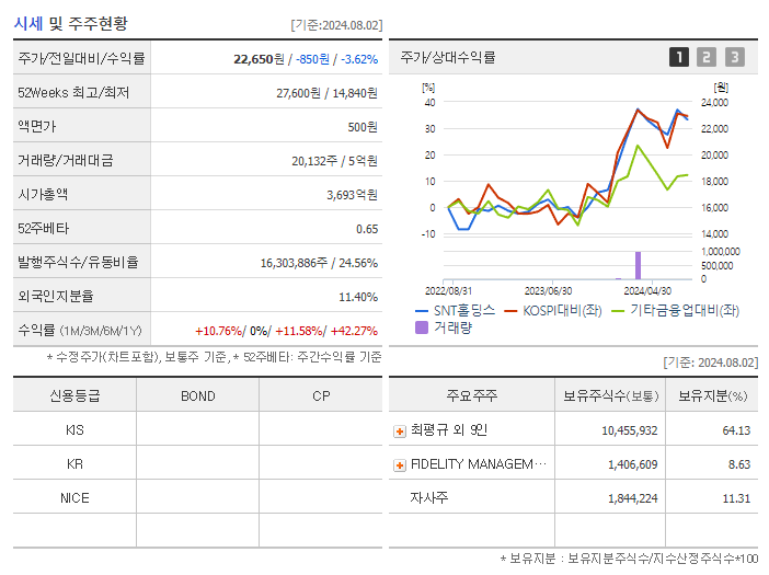 SNT홀딩스_기업개요