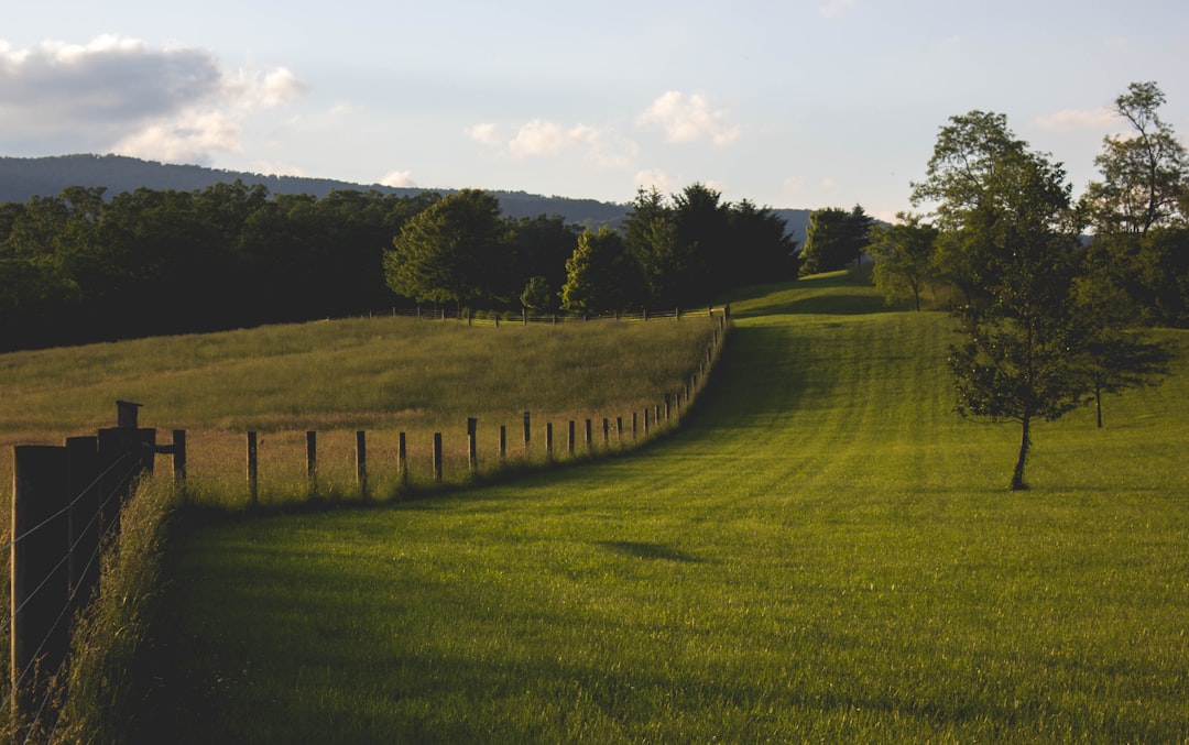 Farmland