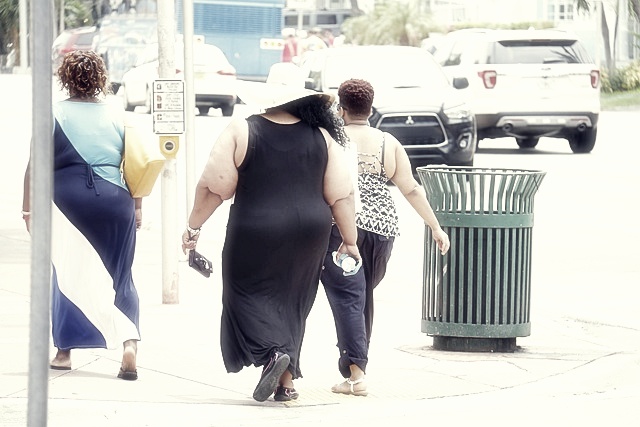 펩트론 주가분석