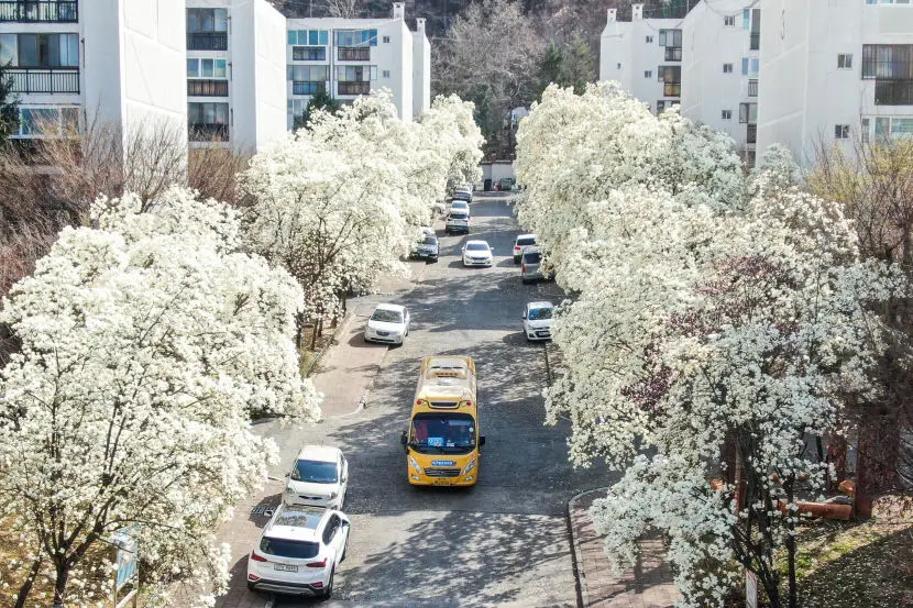 지산동 목련아파트