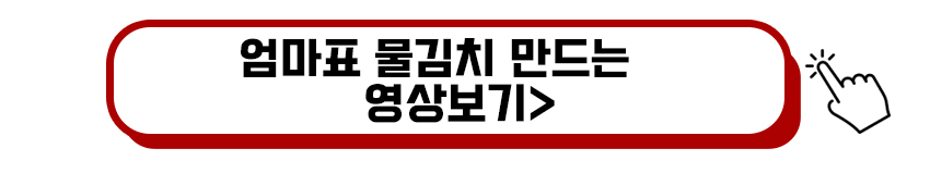 엄마표 물김치 영상보기