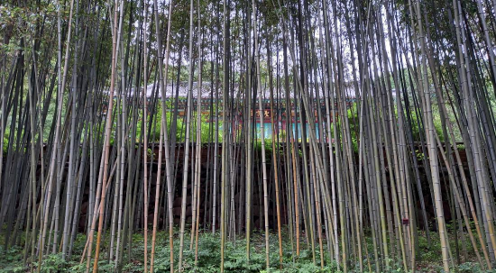 경남 쌍계사 템플스테이 신청 방법