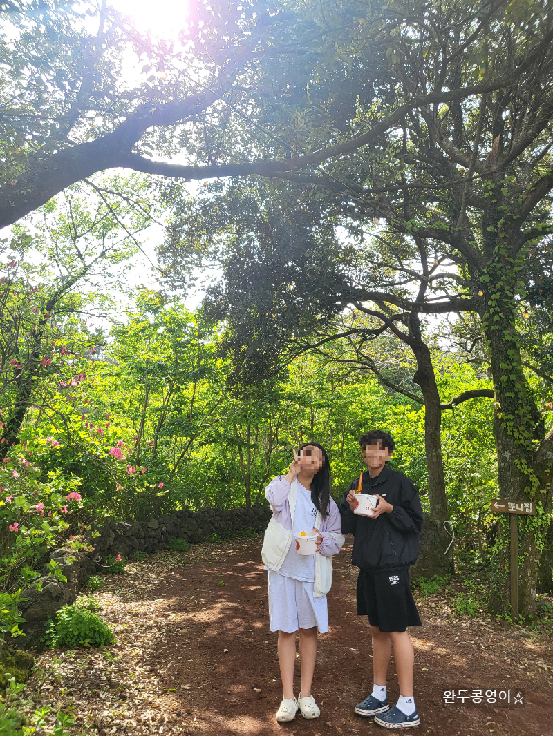 제주 길갈팜랜드 산책길 햇빛 조명