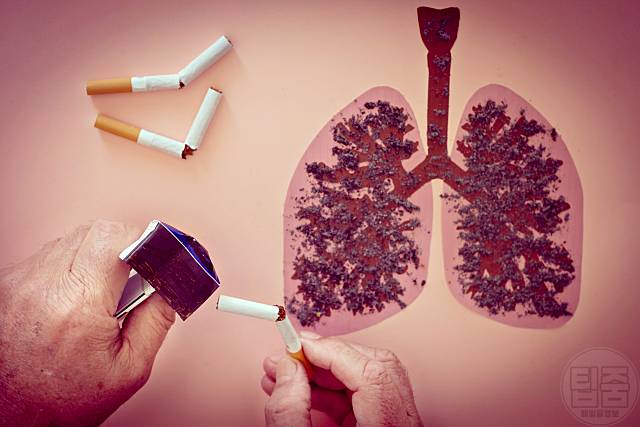 니코틴 빼는음식 기능성 자연식재료 폐암