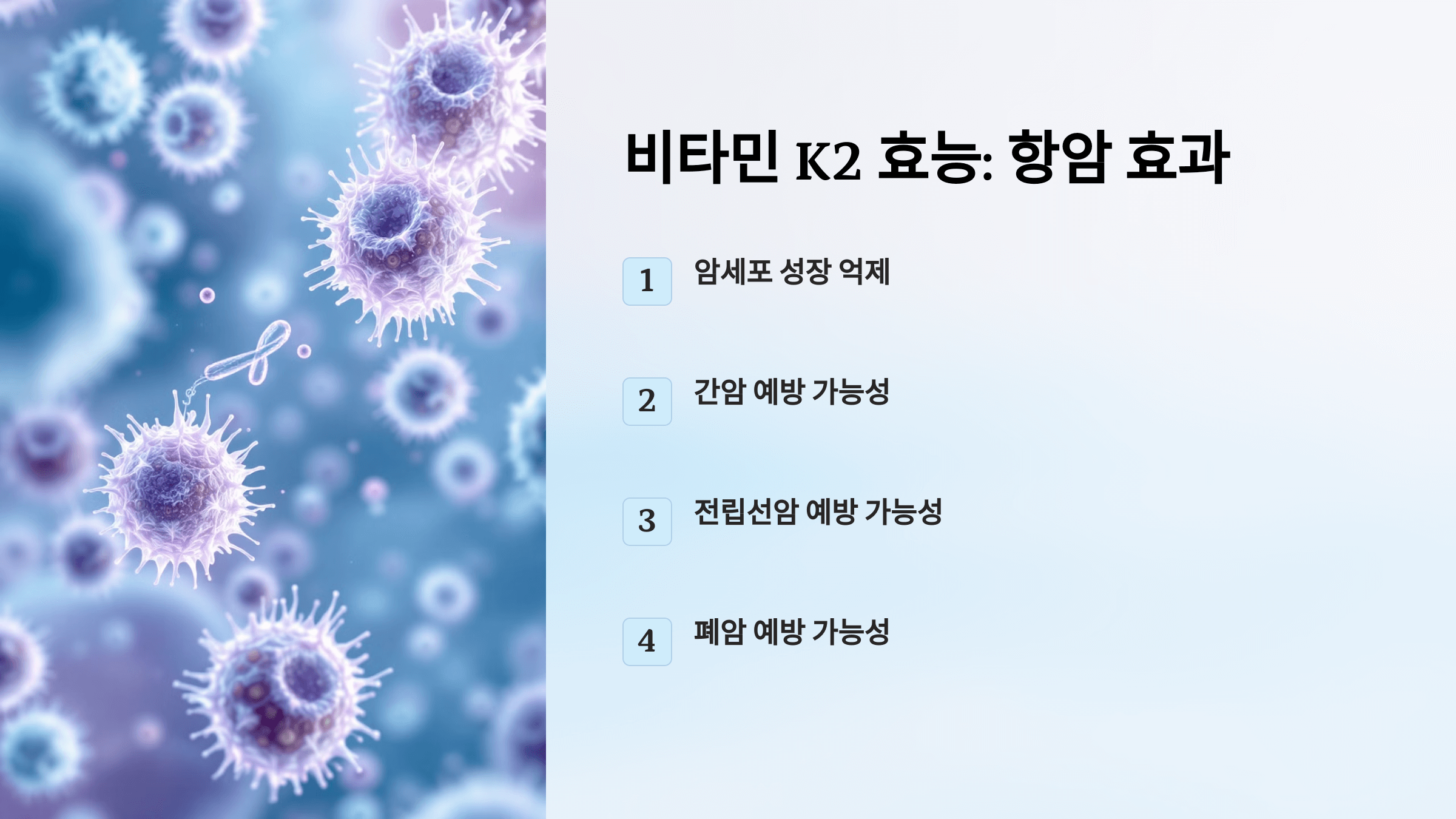 비타민k2와 관련된 사진입니다.