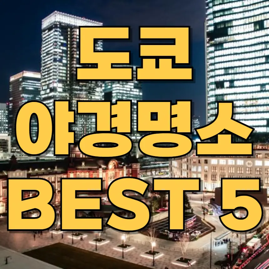 도쿄 여행 야경 명소 추천