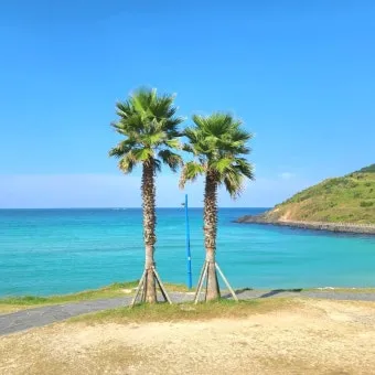 제주 함덕 맛집 추천 야경 보며 식사 가능한 곳 안내_15