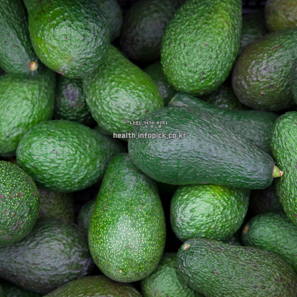 아보카도 효능 효과 몸에 좋은 이유