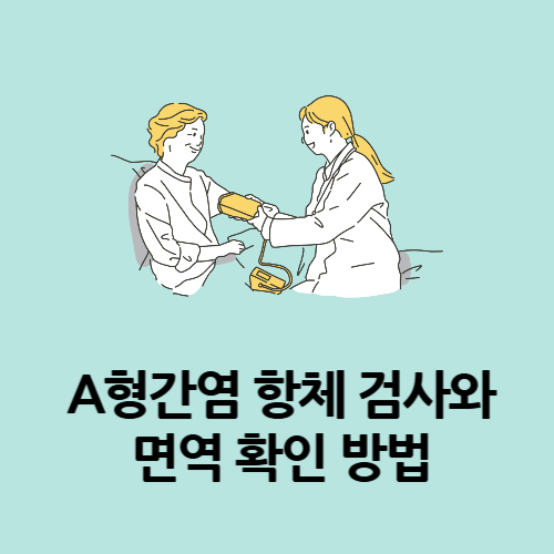 A형간염 항체 검사와 면역 확인 방법