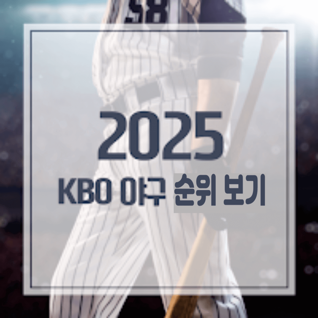 프로 야구 순위 안내