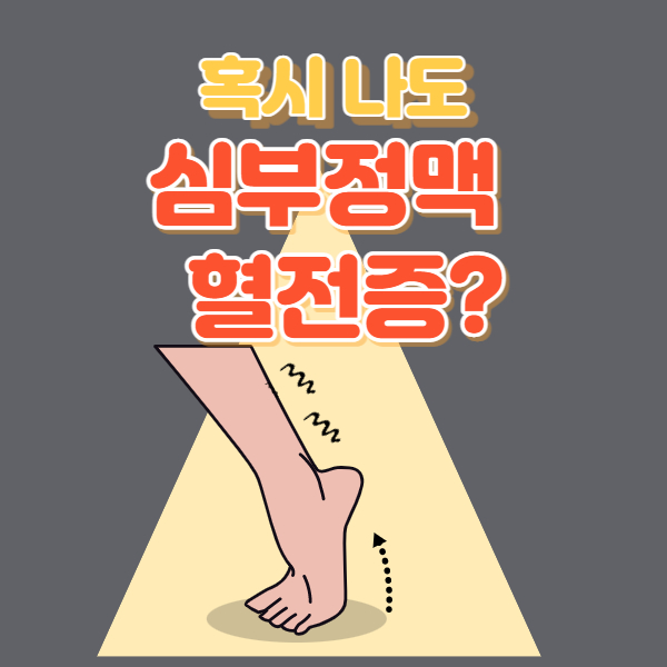 심부정맥 썸네일