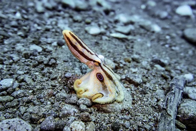 &amp;quot;블루링크에