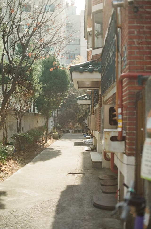 집주인 실거주 허위사실에 대한 입증책임 강화, 하지만 임대차 2법의 한계