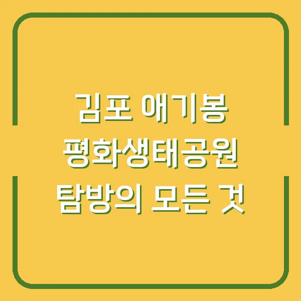 김포 애기봉 평화생태공원 탐방의 모든 것