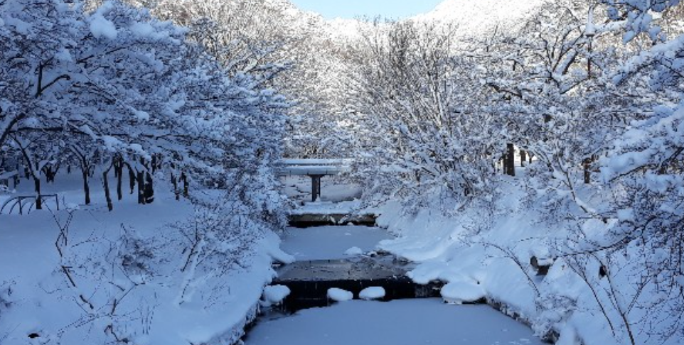 내장산 케이블카 예약방법, 요금, 운행시간, 주차장 총정리