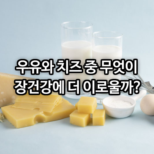 우유와 치즈 중 무엇이 장건강에 더 이로울까?