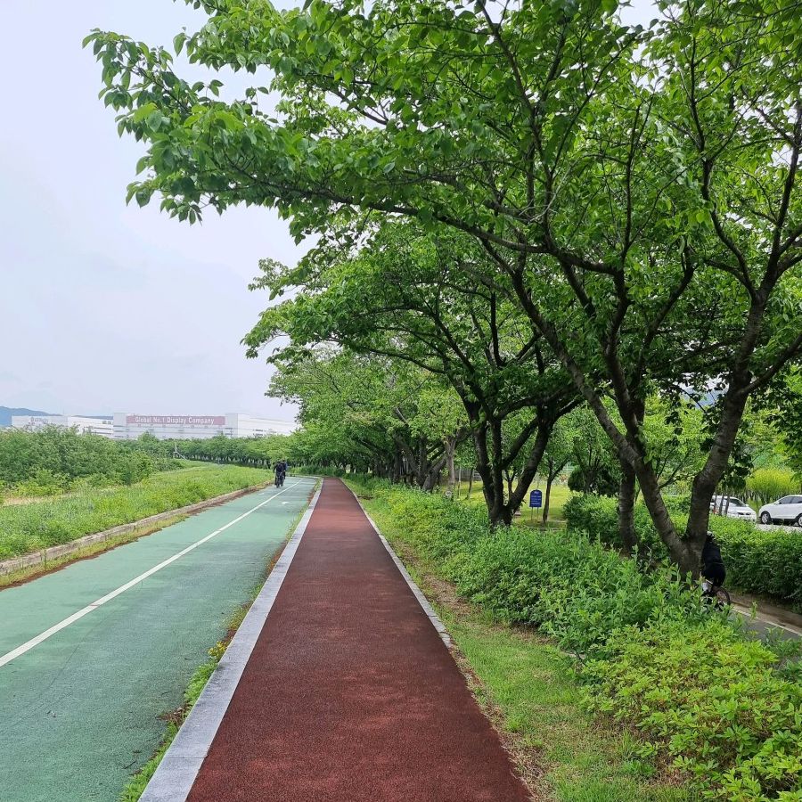 동락공원