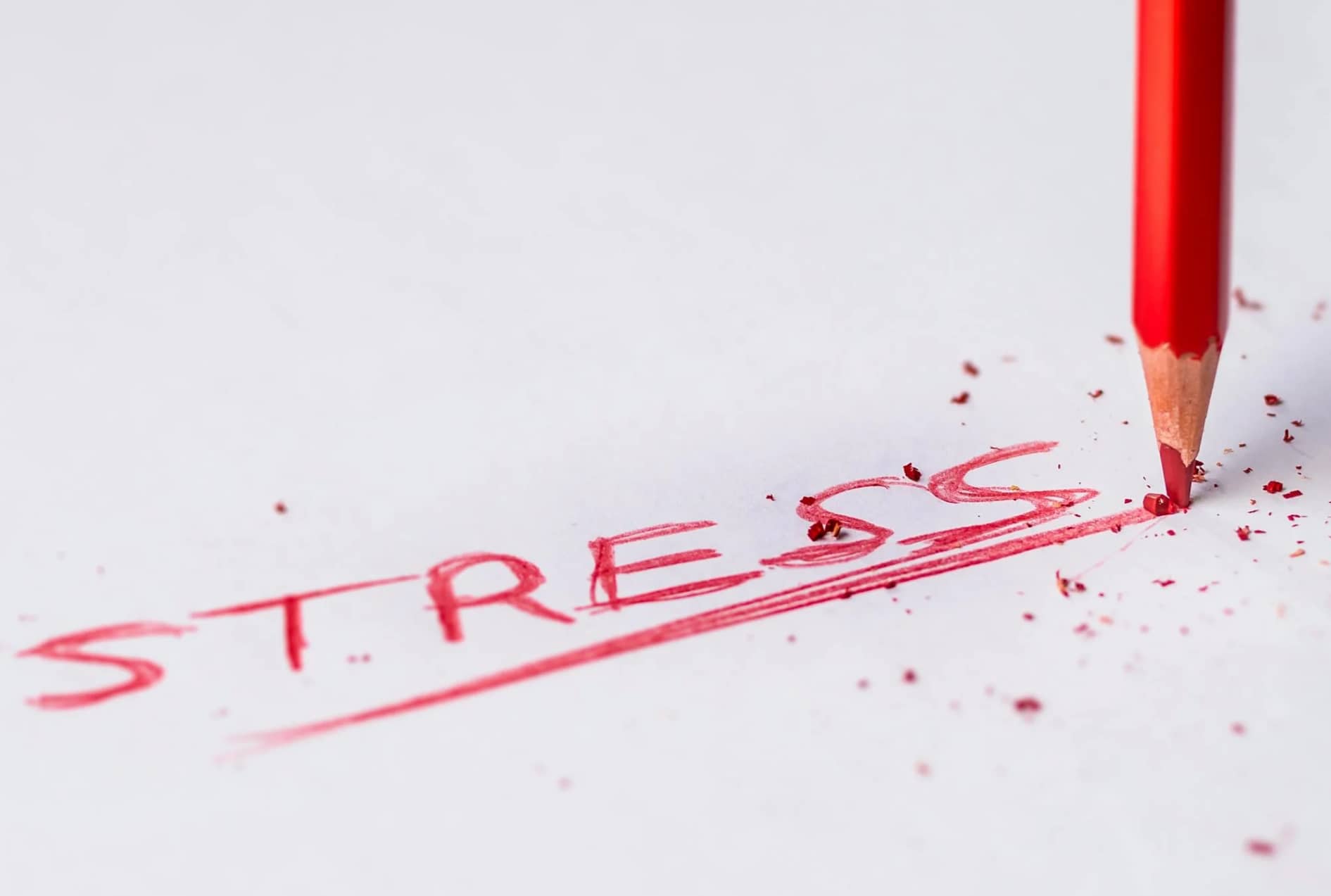 디지털 디톡스가 스트레스와 불안을 줄이는 이유