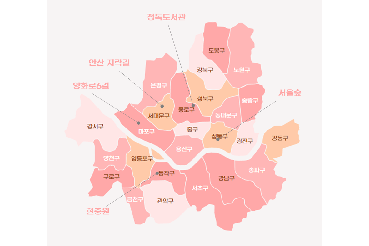 2024 국내 벚꽃 축제 일정 · 개화시기 · 명소