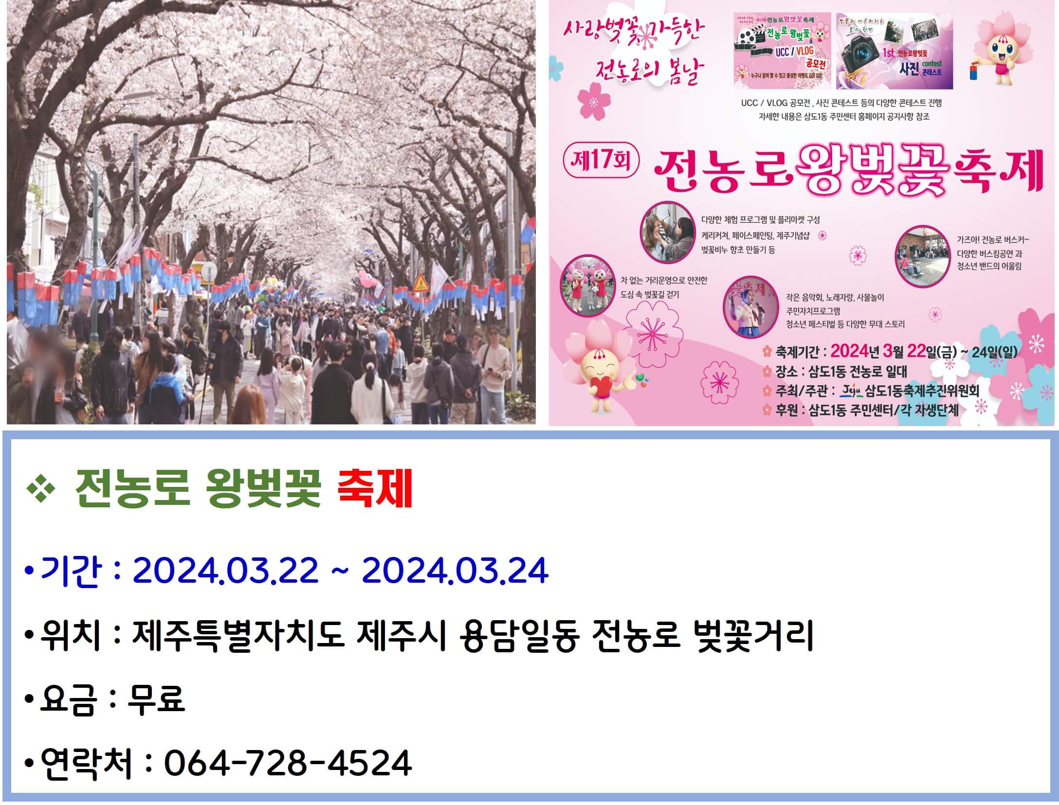 전농로 왕벚꽃 축제