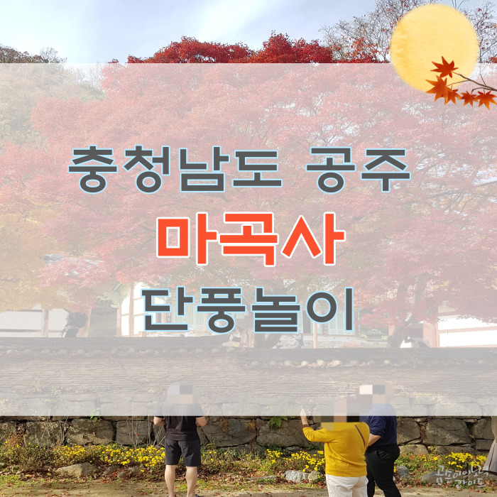 마곡사 단풍나무