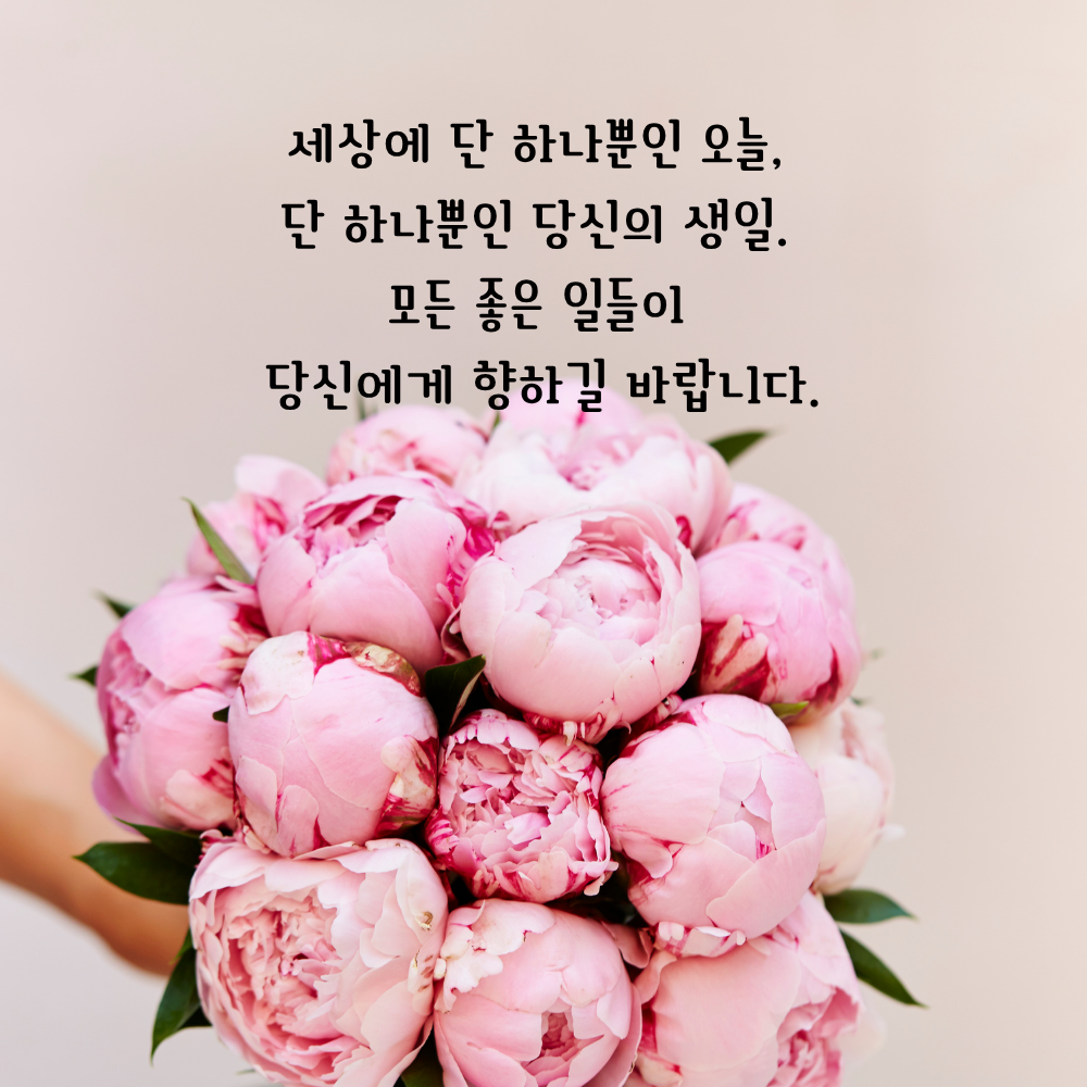 생일 축하 메세지 꽃다발 이미지 그림 사진 모음