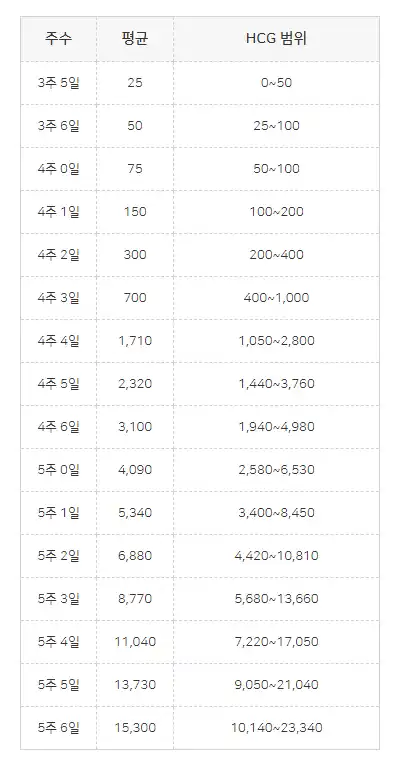 임신주수별HCG호르몬수치