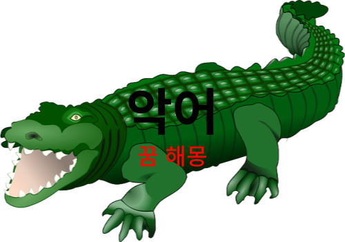 악어 나오는꿈, 악어에게 물리는 꿈 등 다양한 상황별 해몽 정리 ( 악어 꿈 해몽 vest )