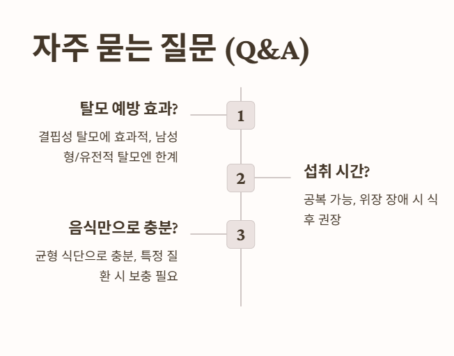 자주 묻는 질문